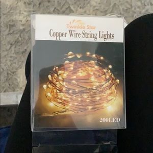 NEVER USED* Copper wire string lights